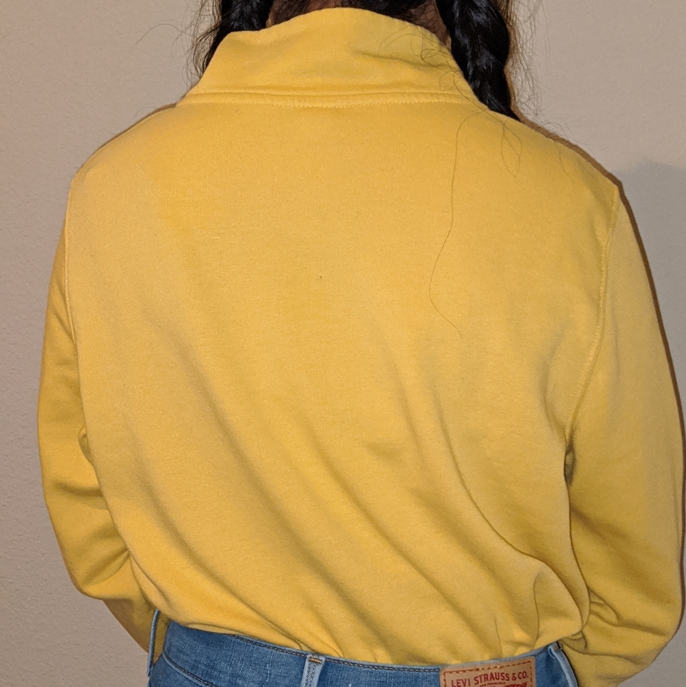 Yellow jacket - Picture 3 of 5